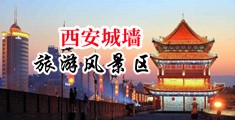 亚洲无码肛交中国陕西-西安城墙旅游风景区